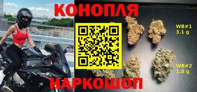 гидропоника Бугуруслан