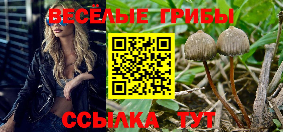 Химки  Псилоцибиновые грибы ЛСД  Вход с VPN 