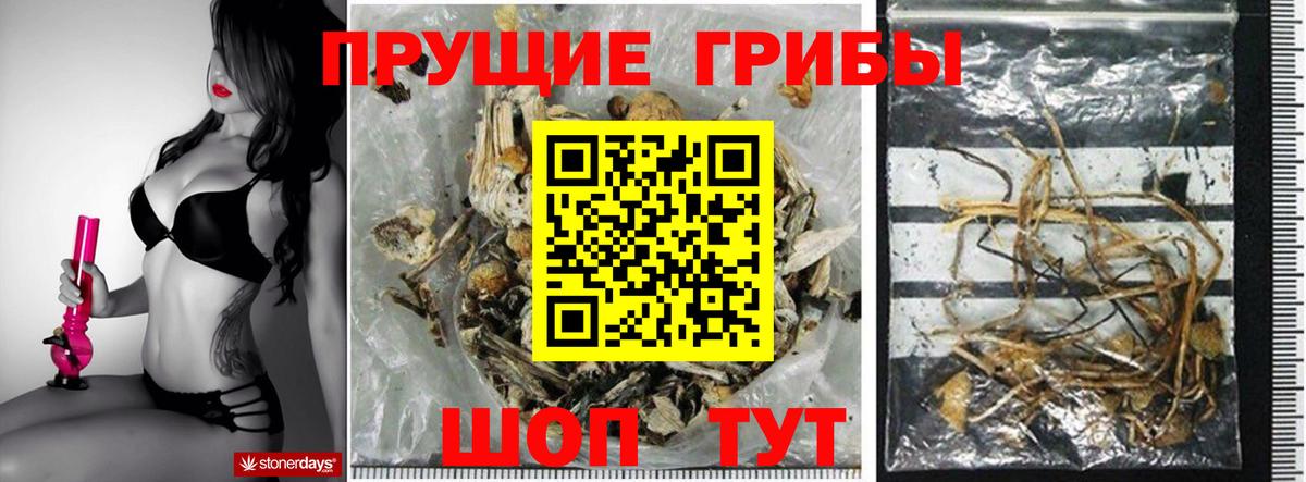 Галлюциногенные грибы GOLDEN TEACHER Химки